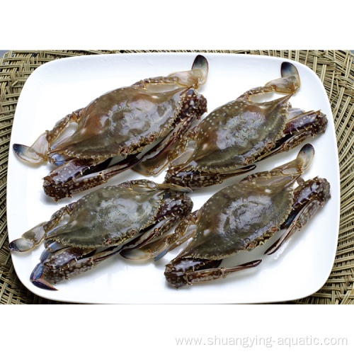 Zhoushan Crab Blue Swimming Frozen